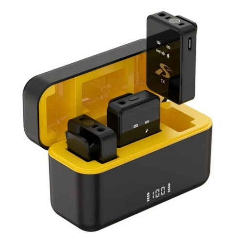 SX12 Lavalier Clip-On Wireless Dual Microphone